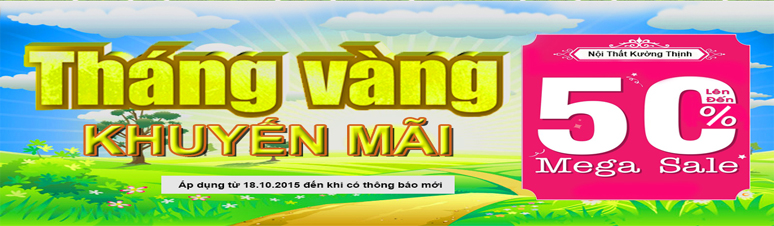 Khuyến mãi bếp điện từ, bếp từ cực hấp dẫn tại Noithatkuongthinh.com 