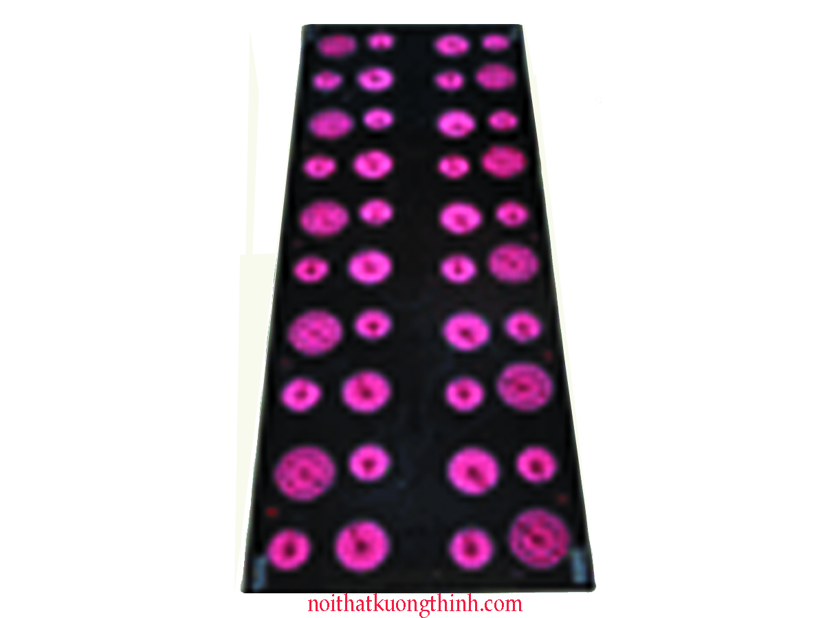 Bếp điện Schott Ceran 01