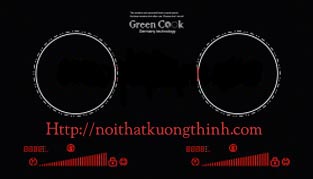 Bếp từ Green Cook GCH6