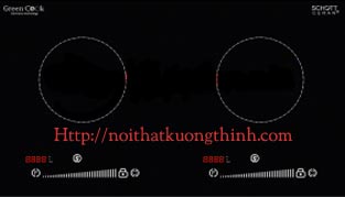 Bếp từ Green Cook GCH8