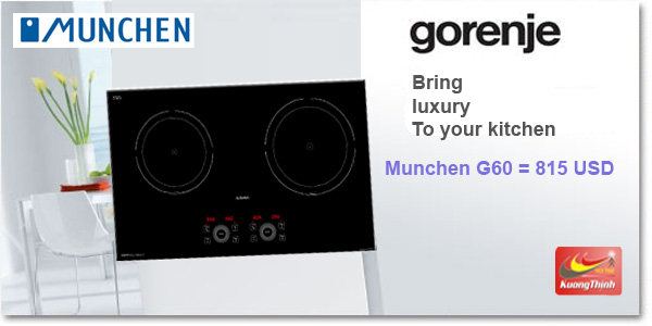 bếp từ Munchen G60 nhập khẩu 