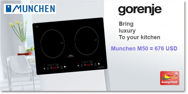 Bếp từ Munchen M50 chính hãng 