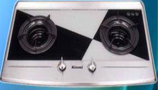 Bếp ga Rinnai RVB 2GI FS