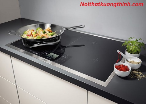 Sử dụng bếp điện từ nấu nướng thật tuyệt vời