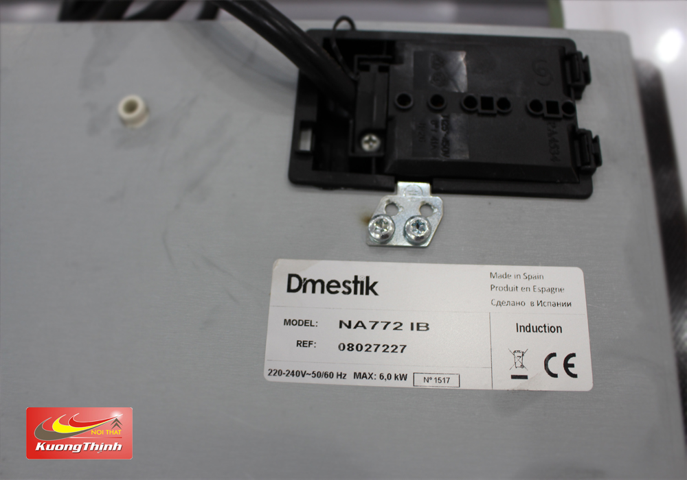 bếp từ Dmestik