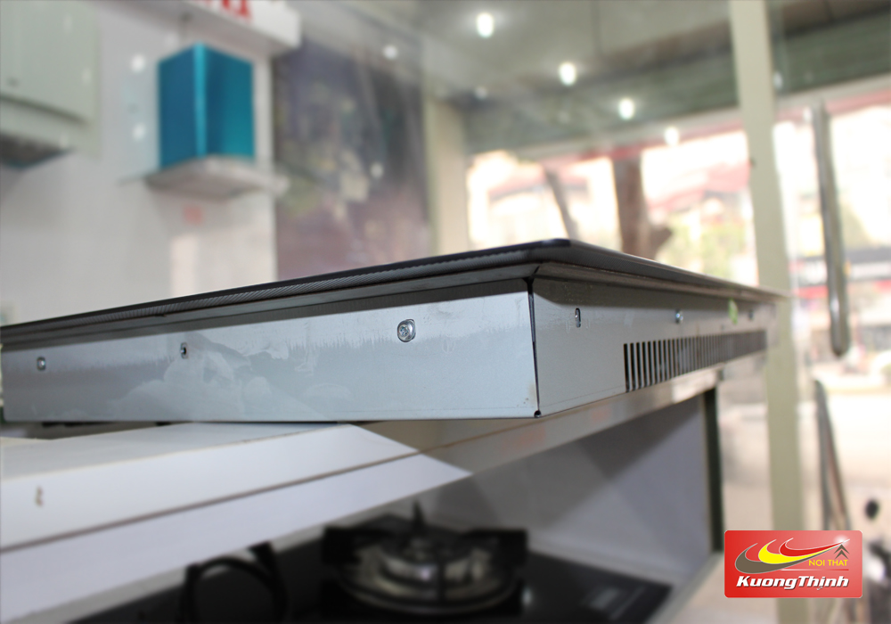 bếp từ Dmestik